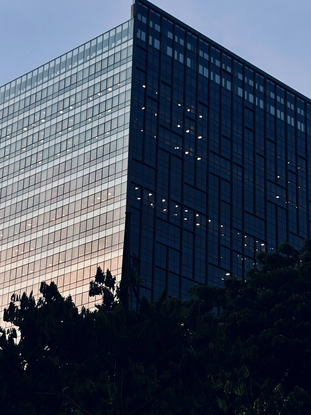shadowy corporate building